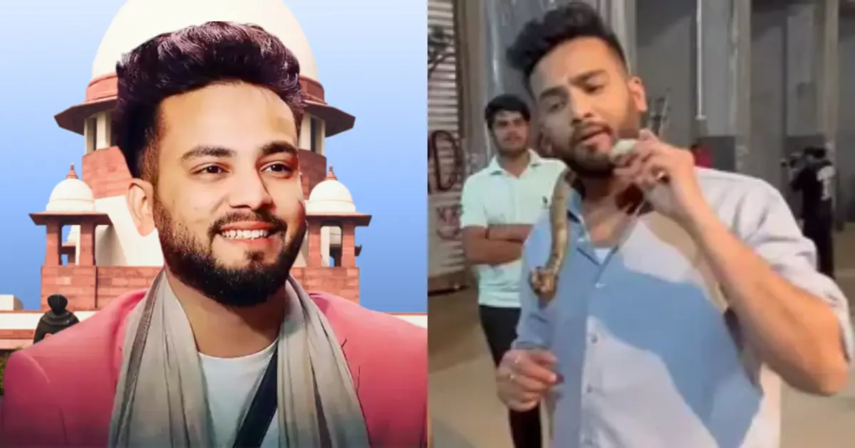 कोबरा केस में एल्विश यादव को सुप्रीम कोर्ट की कड़ी फटकार, पूछा – कानून से ऊपर समझते हैं खुद को?
